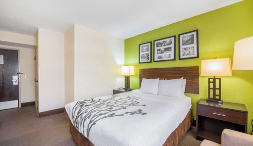 Room, 1 Queen Bed, Accessible, Non Smoking