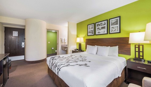 Standard Room, 1 King Bed, Non Smoking