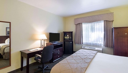 Standard Room, 1 King Bed, Non Smoking