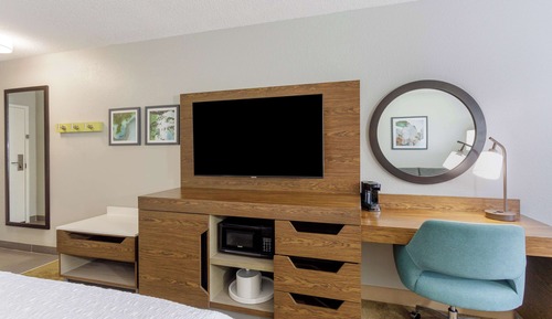Room, 1 King Bed with Sofa bed (Shower Only)