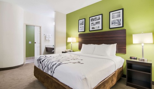 Standard Room, 1 King Bed, Non Smoking