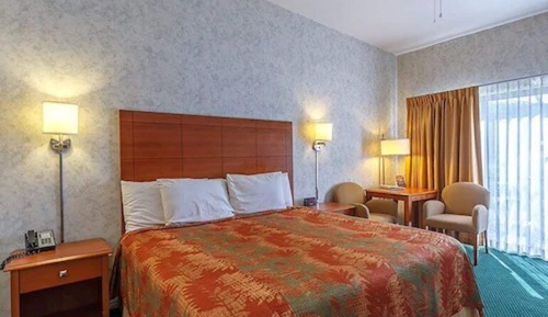 Room, 1 King Bed