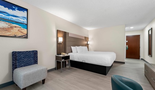 Standard Room, 1 King Bed, Non Smoking