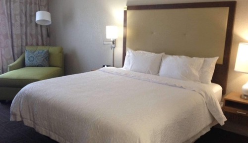 Room, 1 King Bed, Accessible, Non Smoking (Mobility & Hearing, Roll-in Shower)