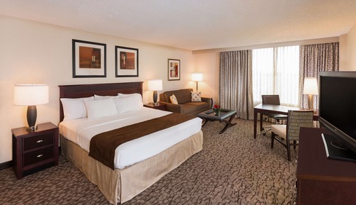 Executive Room, 1 King Bed
