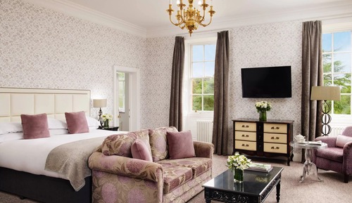 Suite, 1 King Bed