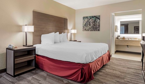 Standard Room, 1 King Bed, Non Smoking