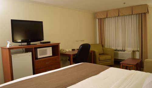Standard Room, 1 King Bed, Non Smoking, Refrigerator & Microwave