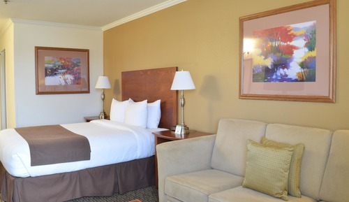 Standard Room, 1 Queen Bed, Non Smoking, Refrigerator & Microwave (with Sofabed)
