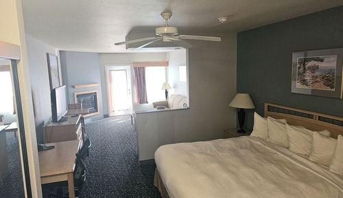 1 King Bed, Partial Ocean View (Non-Pet Room)