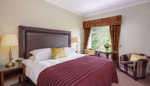 Standard Room, 1 Double Bed