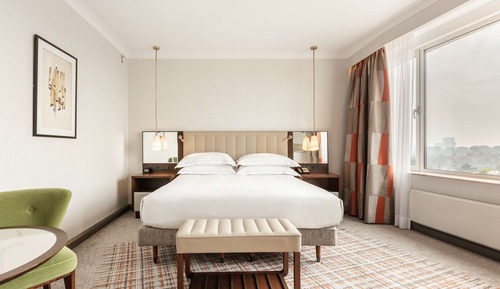 King Executive Room 