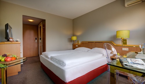 Comfort Single Room