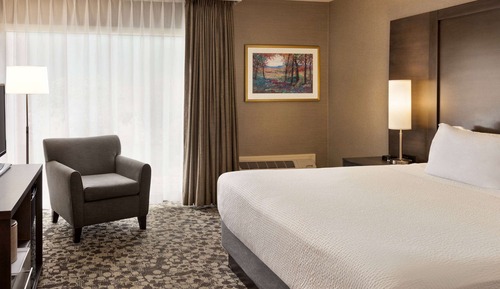 Deluxe Room, 1 King Bed, Non Smoking