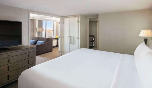 Suite, 1 King Bed with Sofa bed
