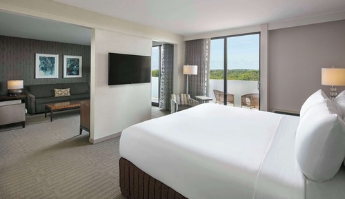 Suite, 1 King Bed with Sofa bed