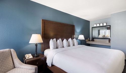 Standard Room, 1 King Bed, Non Smoking, Refrigerator & Microwave
