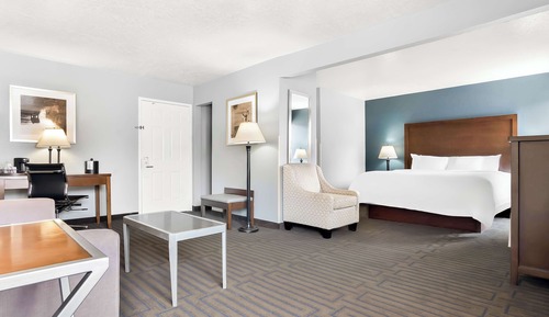Suite, 1 King Bed, Non Smoking, Refrigerator & Microwave (with Sofabed)