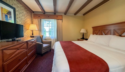 Suite, 1 King Bed with Sofa bed