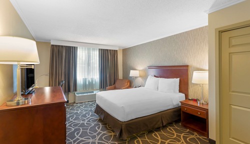 Standard Room, 1 King Bed, Accessible, Refrigerator & Microwave (Pet Friendly)
