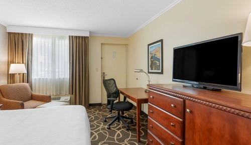 Standard Room, 1 King Bed, Non Smoking, Courtyard View