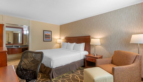 Standard Room, 1 King Bed, Non Smoking