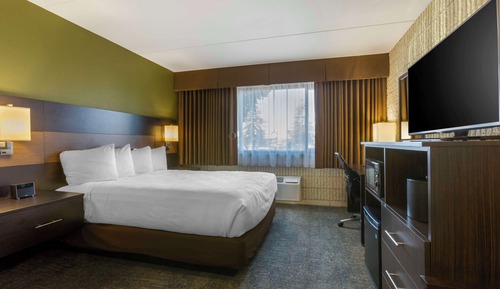 Standard Room, 1 Queen Bed, Accessible, Non Smoking (Roll in Shower)
