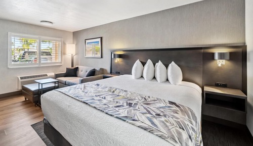 Executive Room, 1 King Bed, Non Smoking, Poolside (with Sofabed)