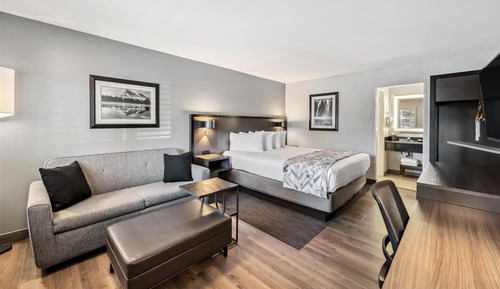 Standard Room, 1 King Bed, Non Smoking (Pet Friendly;with Sofabed)