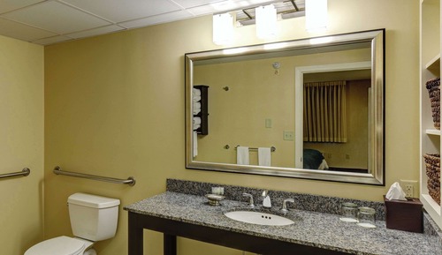 Room, 1 King Bed, Accessible, Non Smoking
