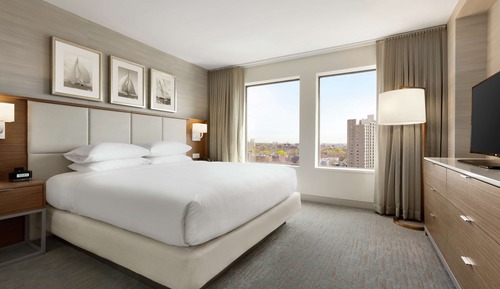 Suite, 1 King Bed with Sofa bed