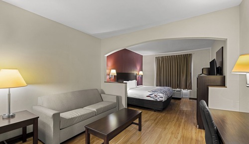 Suite, 1 King Bed with Sofa bed, Non Smoking, Jetted Tub (Larger Room)