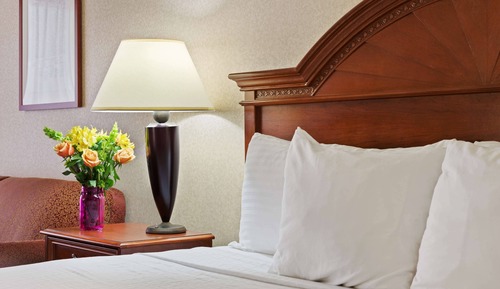 Standard Room, 1 Queen Bed, Accessible, Refrigerator & Microwave (Refrigerator & Microwave)