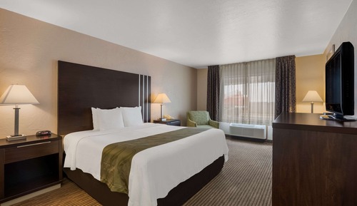 Room, 1 King Bed, Accessible, Non Smoking