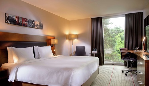 Executive Room, 1 Queen Bed