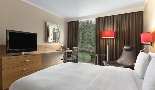 Room, 1 Queen Bed