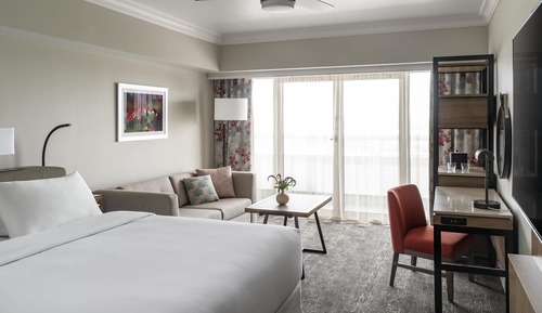 Room, 1 King Bed, Accessible (With Shower)