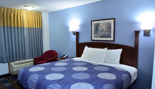 Room, 1 King Bed, Non Smoking