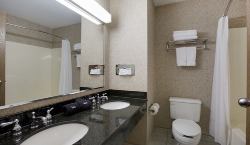 Room, 1 King Bed