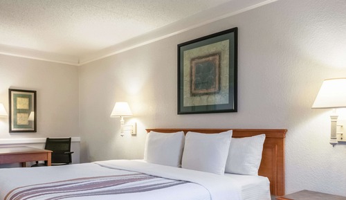 Room, 1 King Bed, Accessible (Mobility/Hearing Impaired Accessible)
