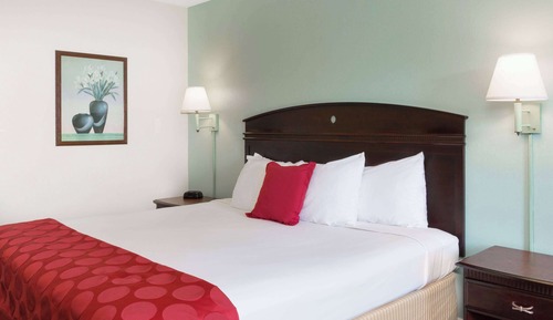 Standard Room, 1 King Bed, Non Smoking (1st Floor)