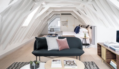 Suite, 1 King Bed with Sofa bed