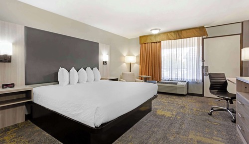 Standard Room, 1 King Bed, Non Smoking, Refrigerator & Microwave (with Sofabed)