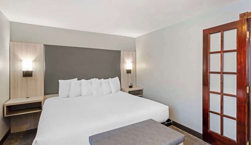 Suite, 1 King Bed, Non Smoking, Jetted Tub (with Sofabed)