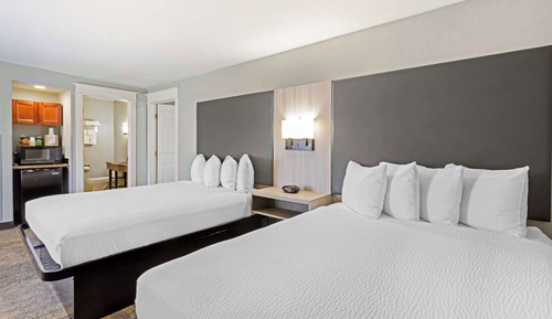 Standard Room, Multiple Beds, Non Smoking (1 king and 2 queen beds;with Sofabed)