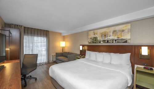 Standard Room, 1 King Bed with Sofa bed, Non Smoking