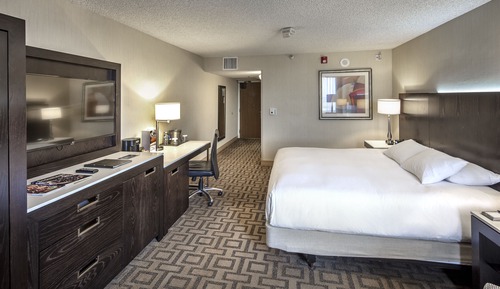 Room, 1 King Bed, Non Smoking