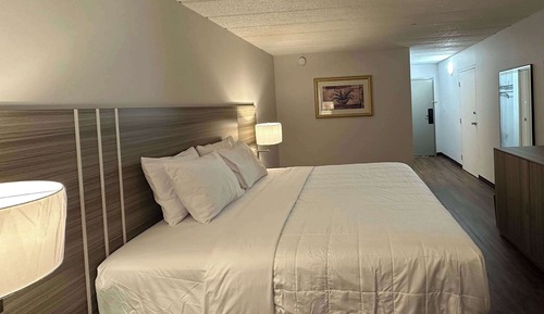 Room, 1 King Bed, Non Smoking