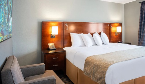 Standard Room, 1 King Bed