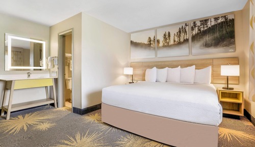 Room, 1 King Bed, Non Smoking, Microwave